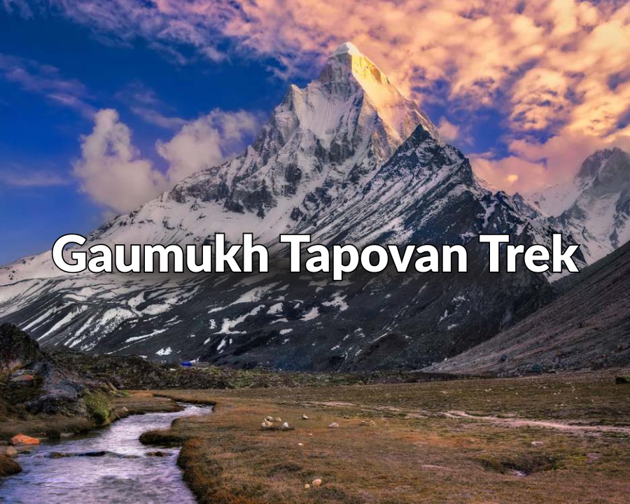 Gaumukh Tapovan 